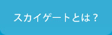 スカイゲートとは？